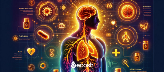 Boswellia Serrata e Curcumina Liposomiale Ecosh