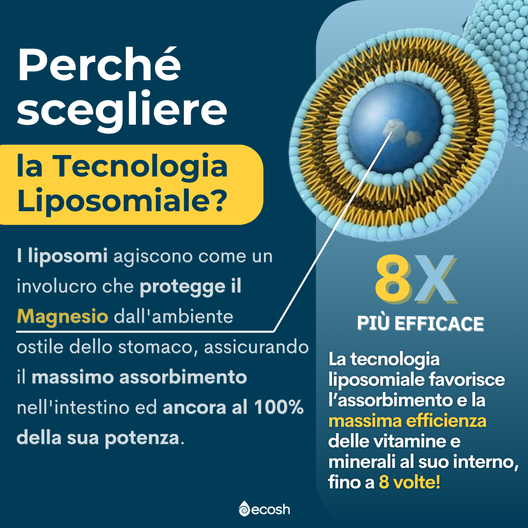 Funzionamento dei liposomi da ecosh.it