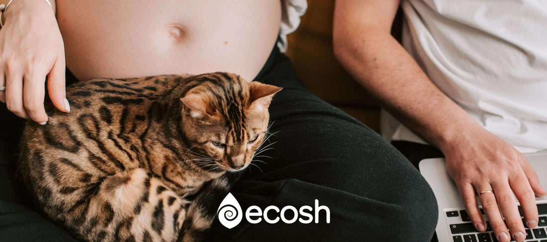 Toxoplasmosi in gravidanza : Donna incinta seduta sul divano con un gatto sulle sue gambe